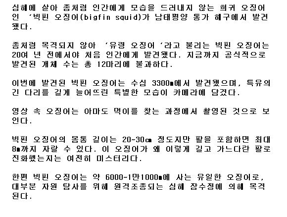 최대 길이 8m…심해 3300m서식 초희귀 ‘빅핀 오징어’ | 토토피아