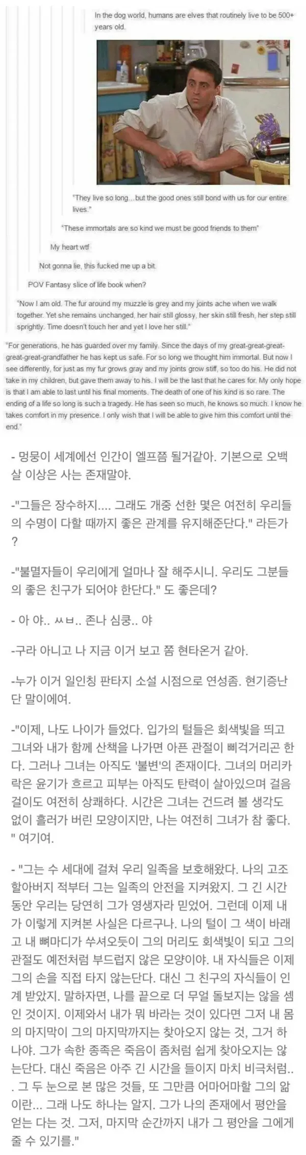 하프엘프가 종족의 수치이자 죄악인 이유