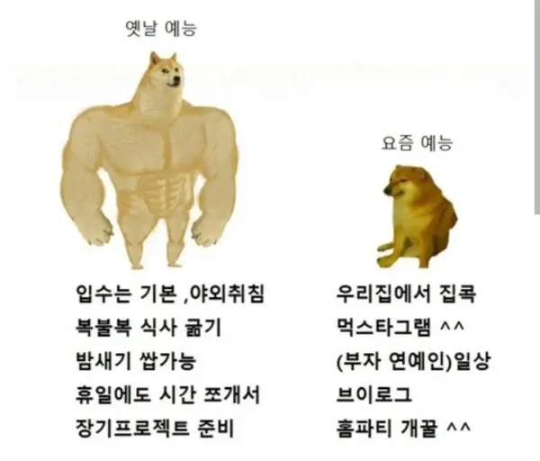 옛날 근본 예능 vs 요즘 예능 비교