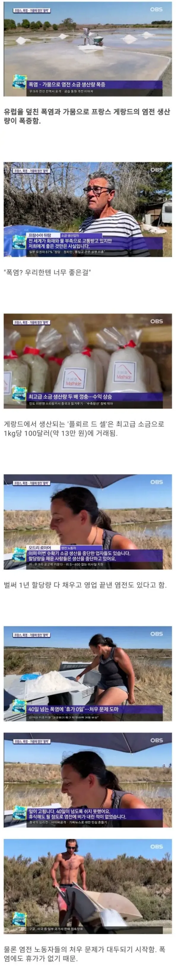 유럽을 덮친 폭염 가뭄에 웃는 프랑스 염전