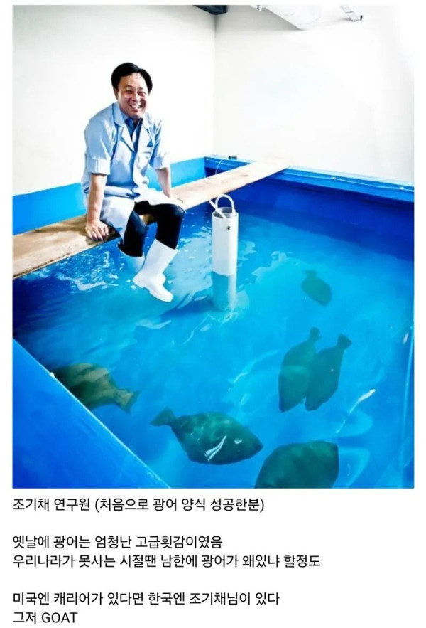 광어를 ‘국민 생선’ 으로 만들어주신 분