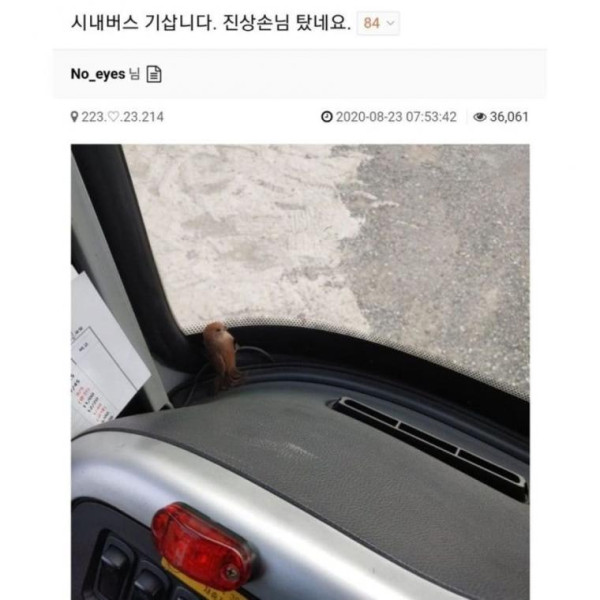 시내버스 기삽니다. 진상손님 탔네요