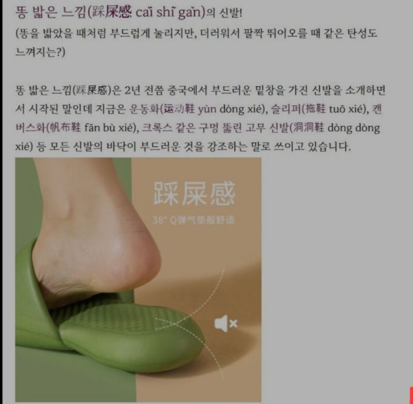 번역기 오류 때문에 오해를 받아 슬프다는 중국 회사