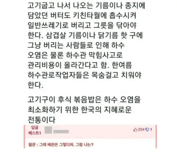 한국사람 종특 : 볶음밥을 먹어야 친환경입니다.