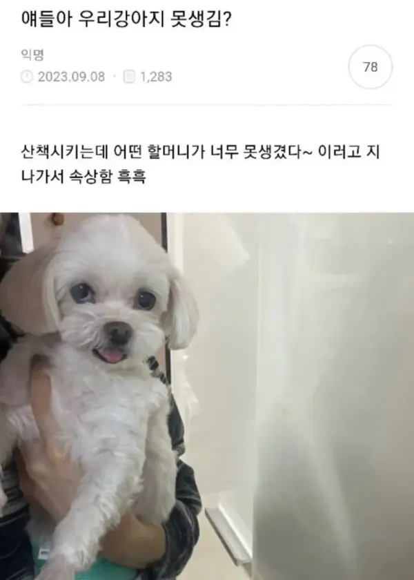 얘들아 우리 강아지 못생김?