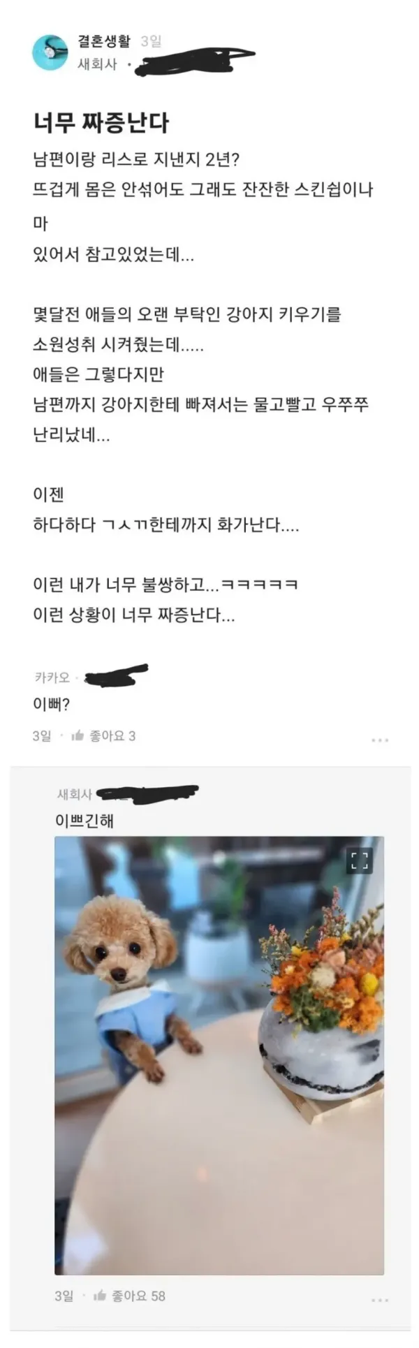 강아지때문에 짜증난다는 어느 섹스리스 아내