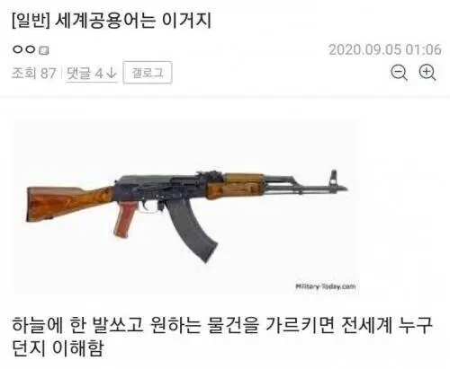 영어따윈 ㅈ밥으로 만들어버리는 진정한 세계 공용어 | 토토피아