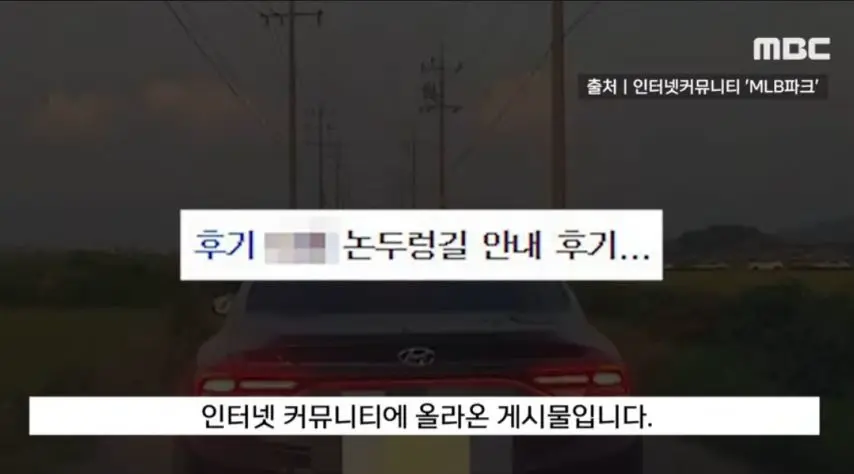 내비 따라갔다가 논두렁 감옥에 ㄷㄷㄷ | 토토피아